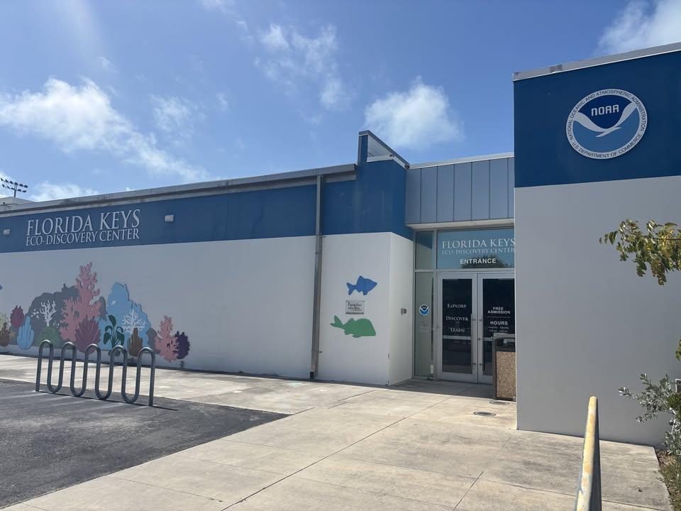 Early Bird Cleanup Hosted by Florida Keys Eco-Discovery Center