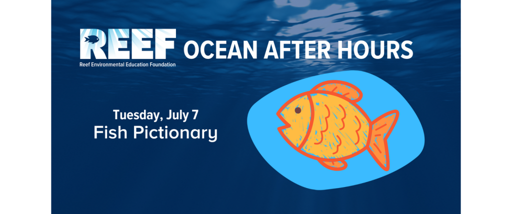 REEF Ocean After Hours: Fish Pictionary