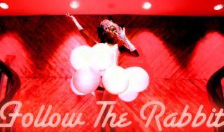 Follow The Rabbit at Key West Theater 