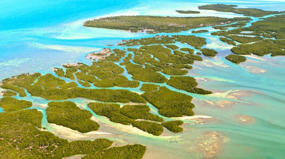 Grassy Key Paddle Battle