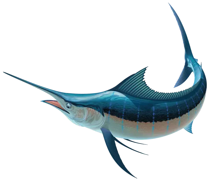 Gigantic Nautical Market