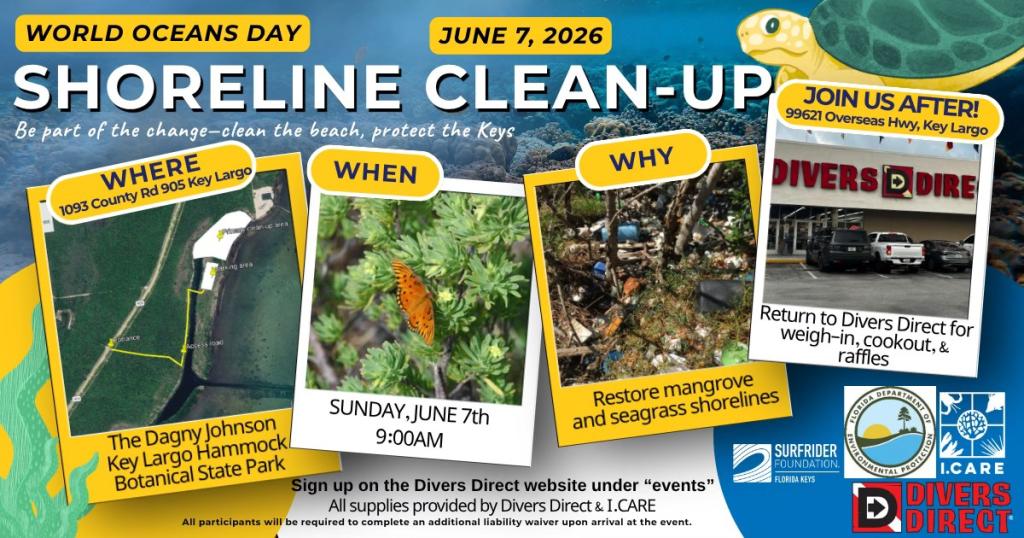 World Oceans Day Shoreline Clean-up