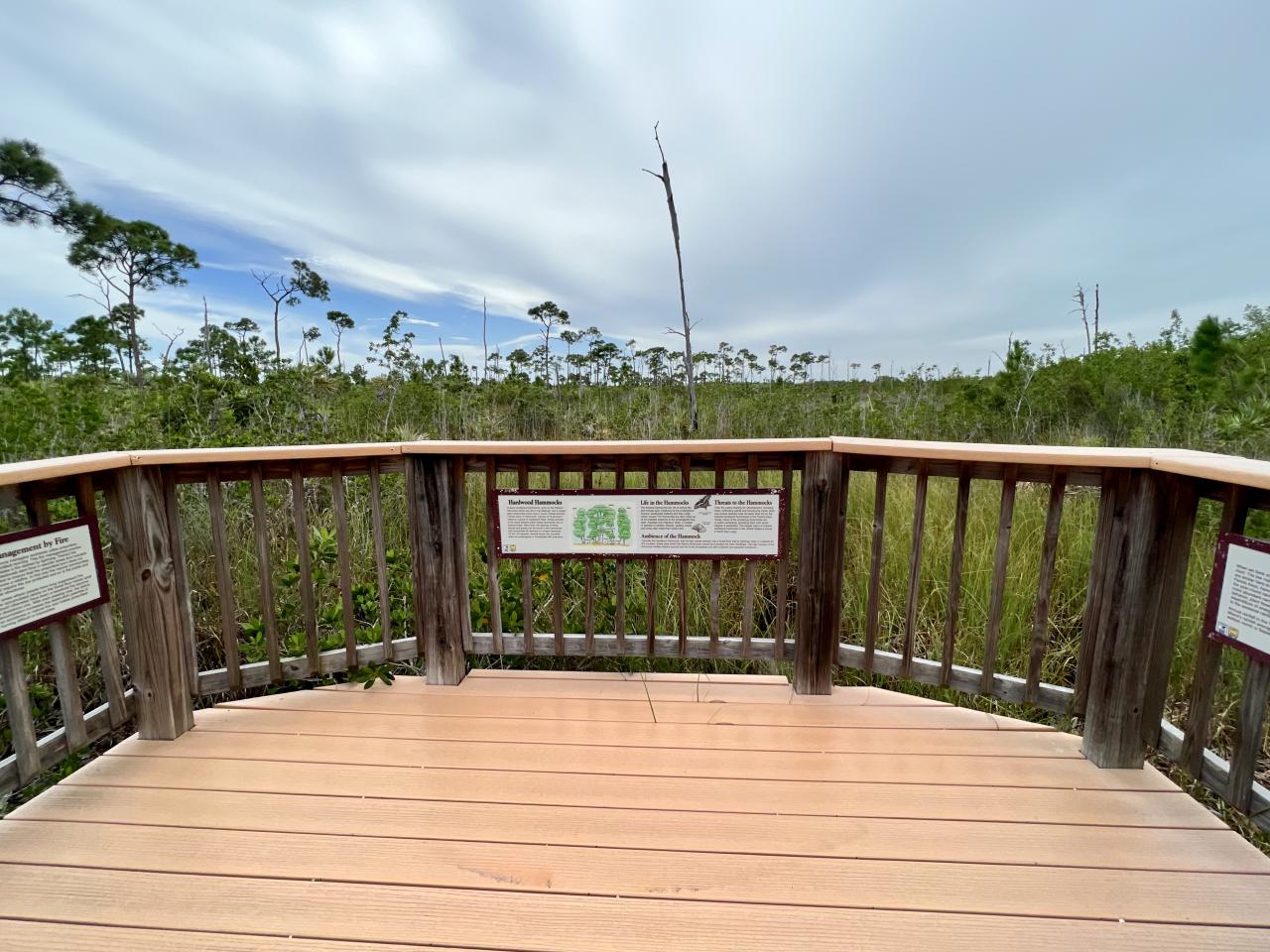 Key Deer National Wildlife Refuge Trails | Florida Keys & Key West