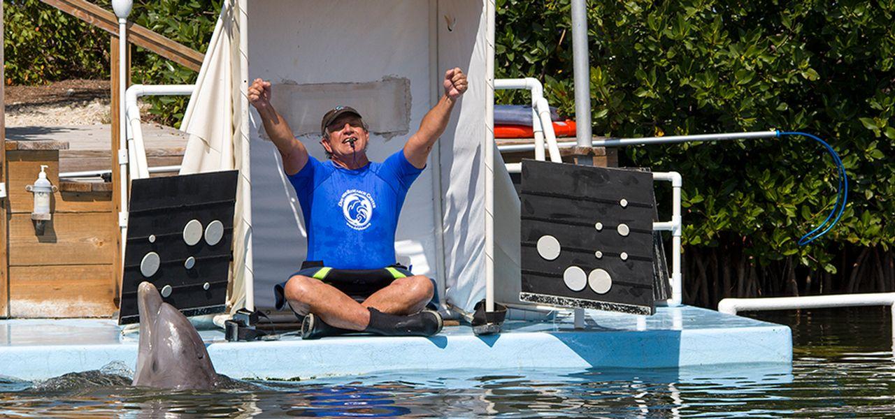Man celebrating with arms raised near dolphin in water.