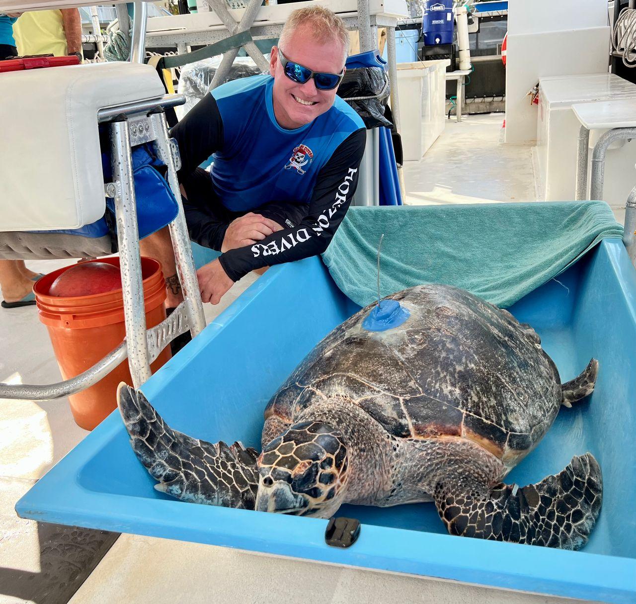 Man smiling next to a large sea turtle in a blue container on a boat.