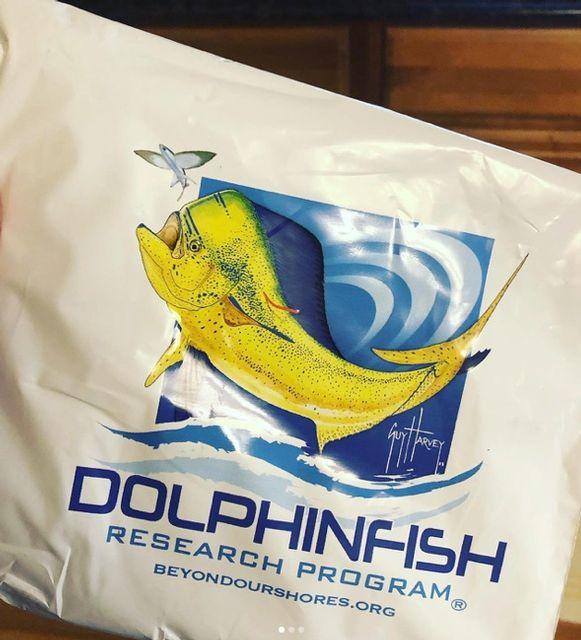 Yellow dolphinfish graphic with a blue wave background on a research program logo.
