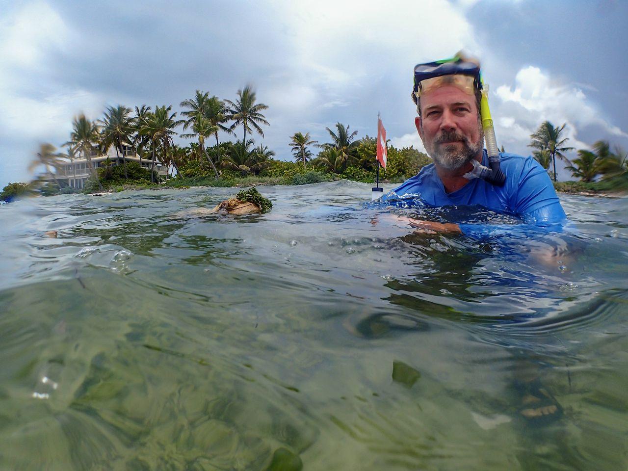 Man snorkeling near the shore, palm trees and cloudy sky in the background.