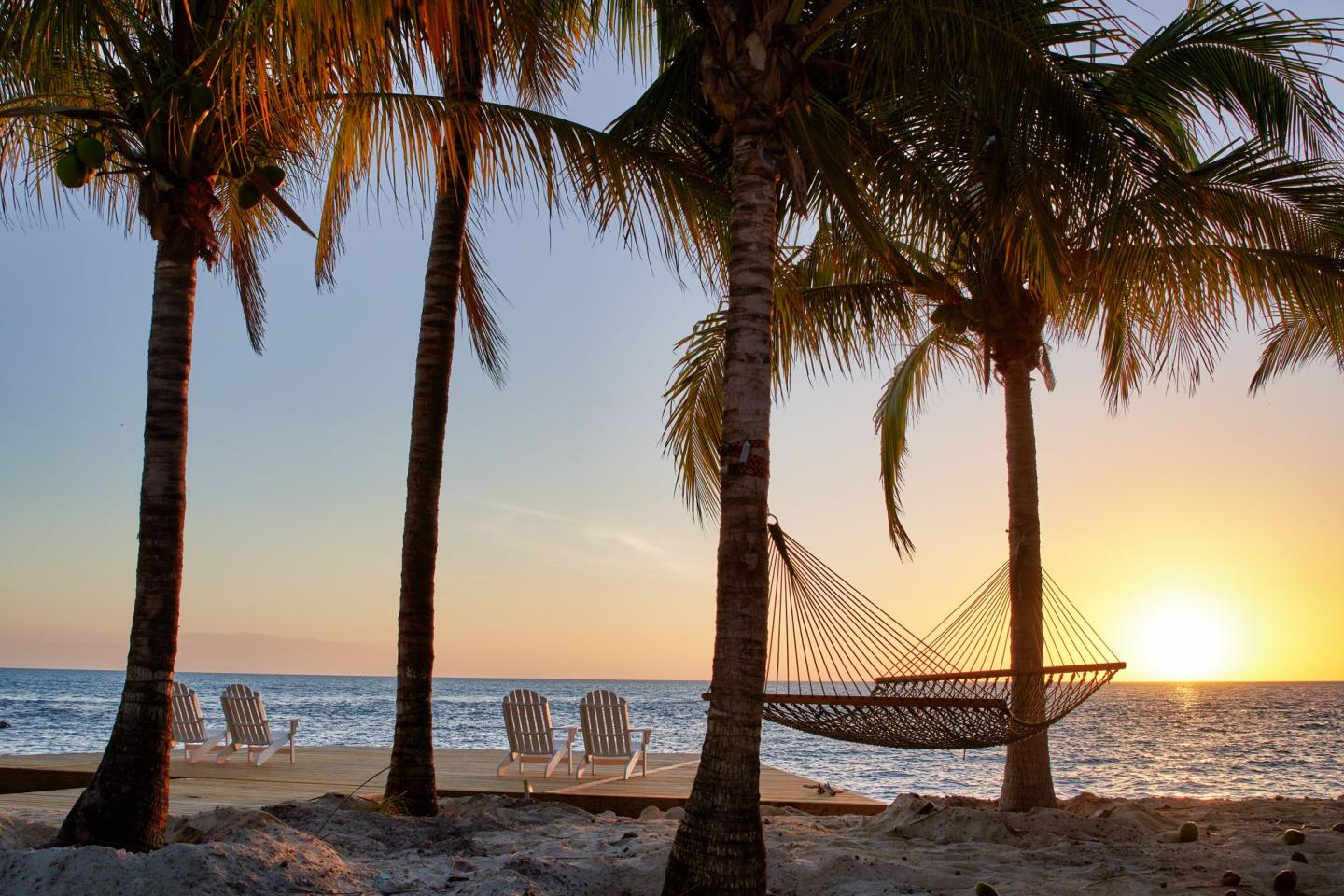 Hammock and palm trees at sunset on a beach.