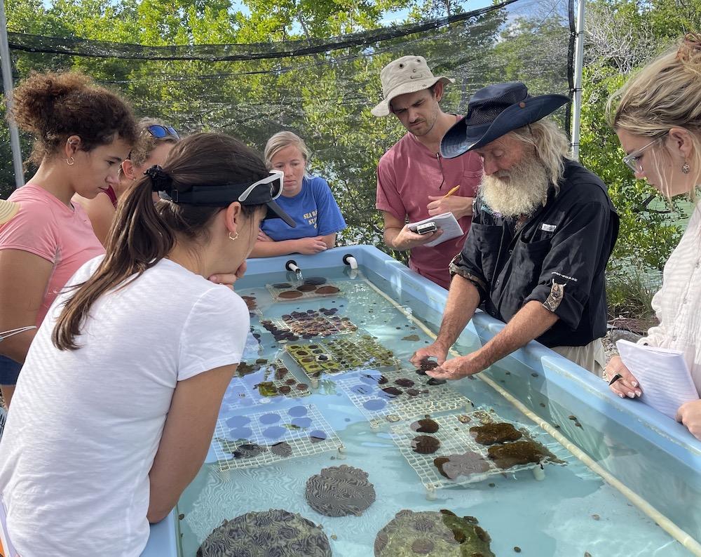 Coral restoration Florida Keys Dave Vaughan
