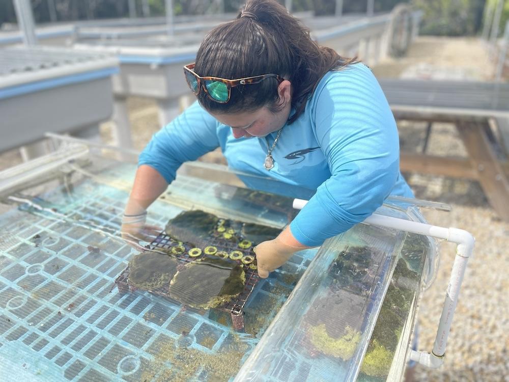 Woman working in coral restoration