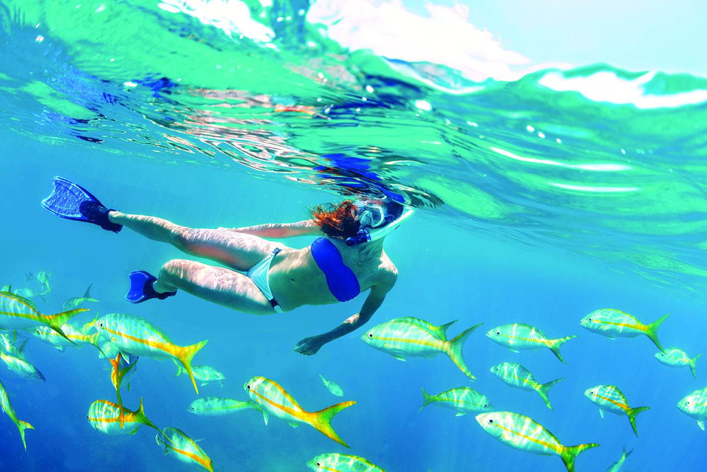 Snorkeler swimming with fish in clear blue water.
