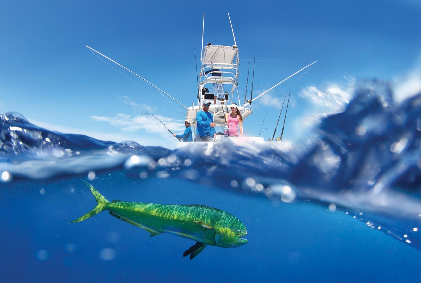 Fishing boat on blue ocean, vibrant green fish swimming below.