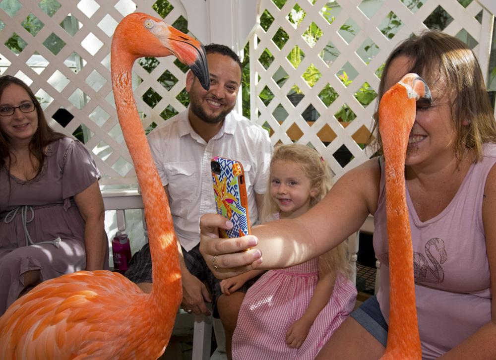 Family smiling with flamingos in an indoor garden.