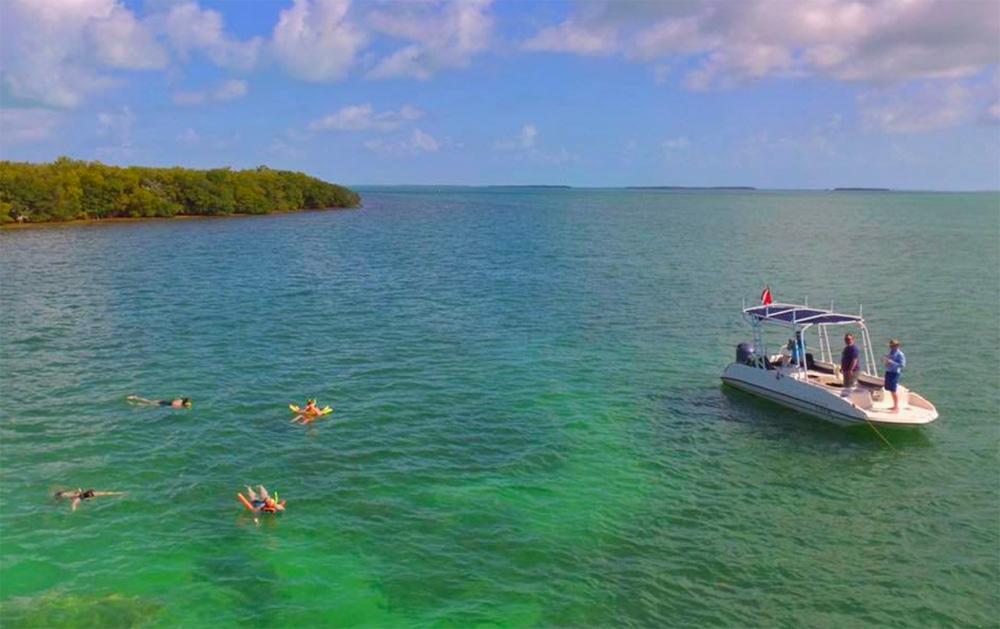 snorkelers off Islamorada