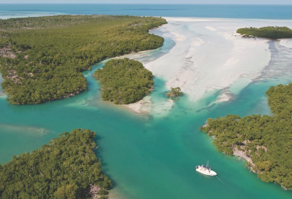 Florida Keys land and water environment