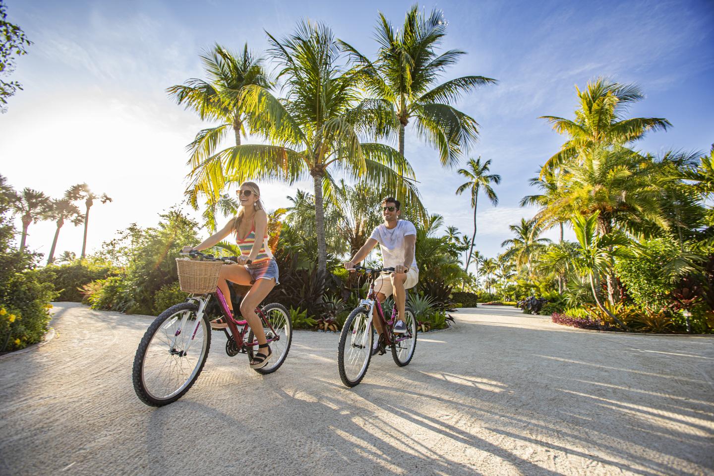 Two people biking on a sunny path lined with palm trees.