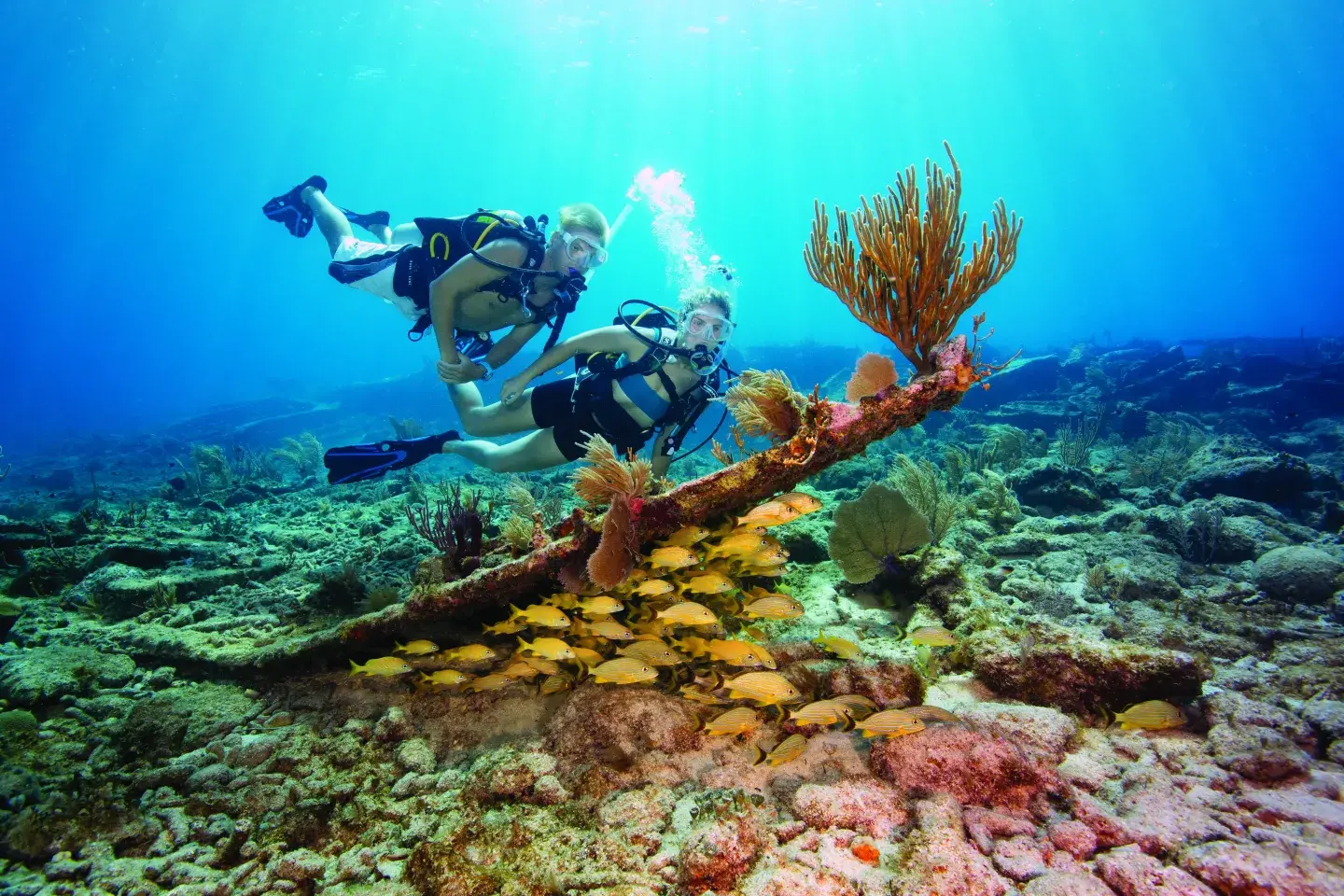 Scuba divers exploring a colorful coral reef underwater.