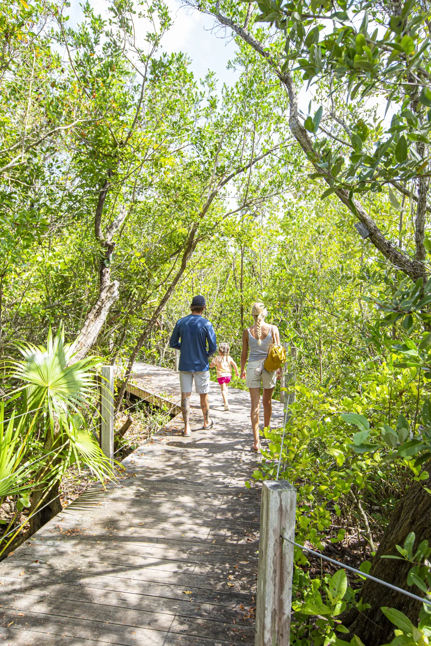 Family walking on a boardwalk through lush green mangroves.