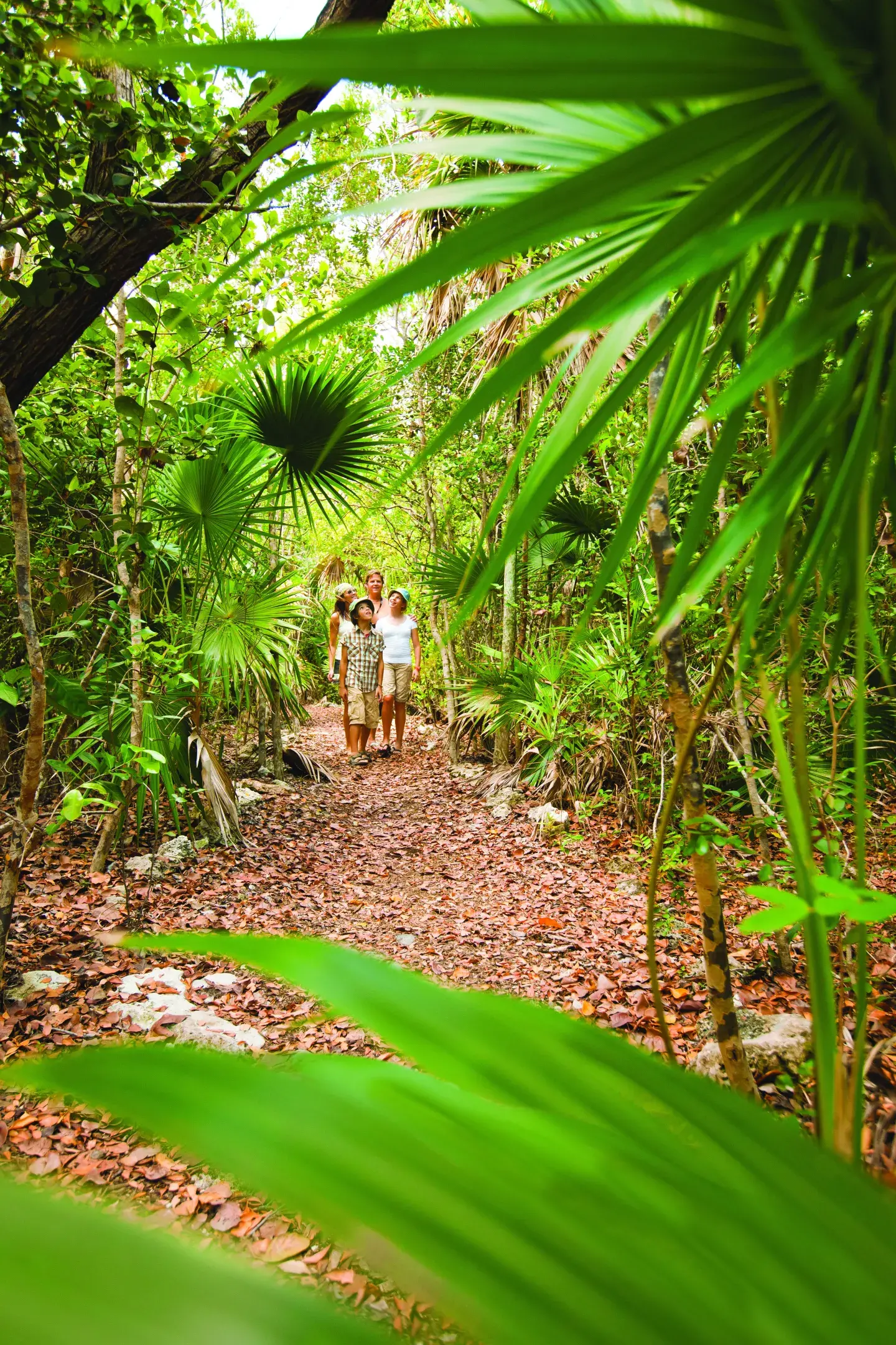 Couple walking on a forest path surrounded by lush green foliage.
