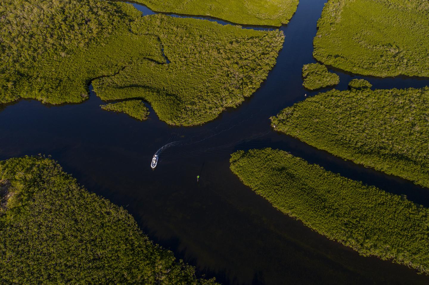 Aerial view of a river winding through green marshland with a boat traveling along it.