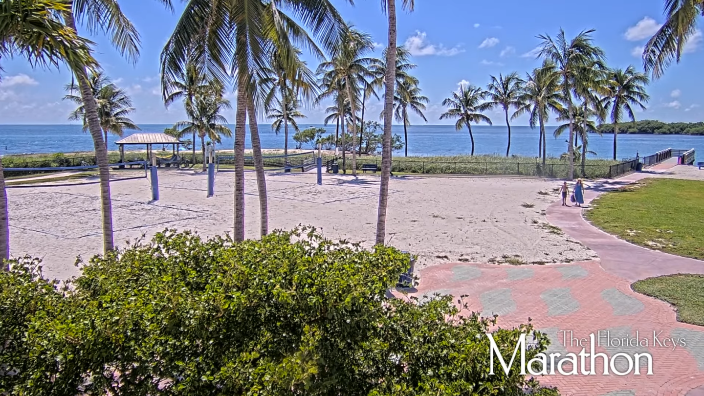 Tropical beach with palm trees, clear blue sky, and ocean view.