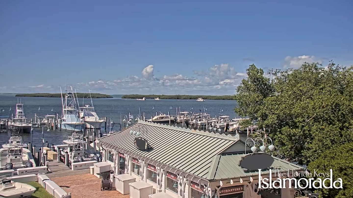 Marina with boats, blue sky, and a building with a green roof.