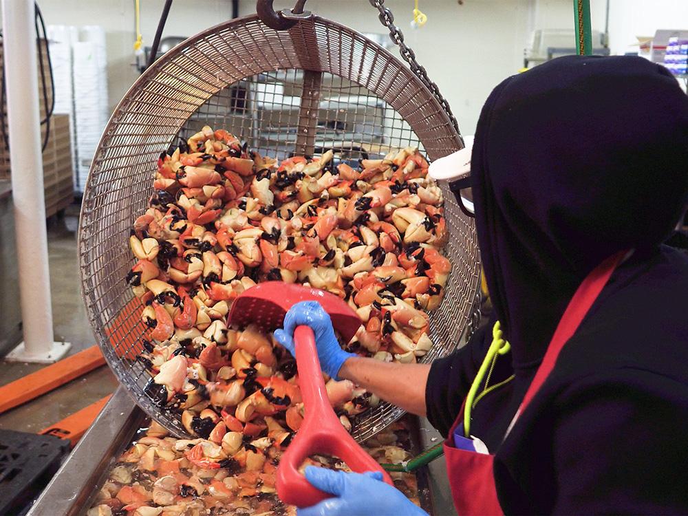FLORIDA KEYS stone crab