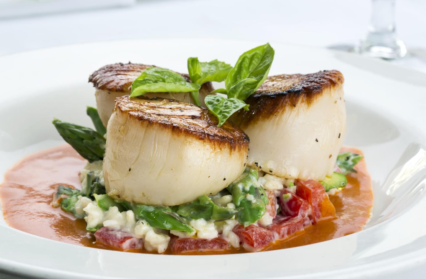 Seared scallops on risotto with tomato sauce and herbs.