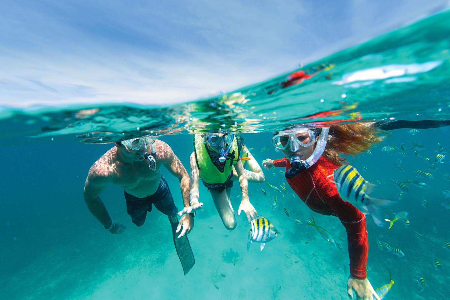 Three snorkelers swimming underwater with colorful fish.