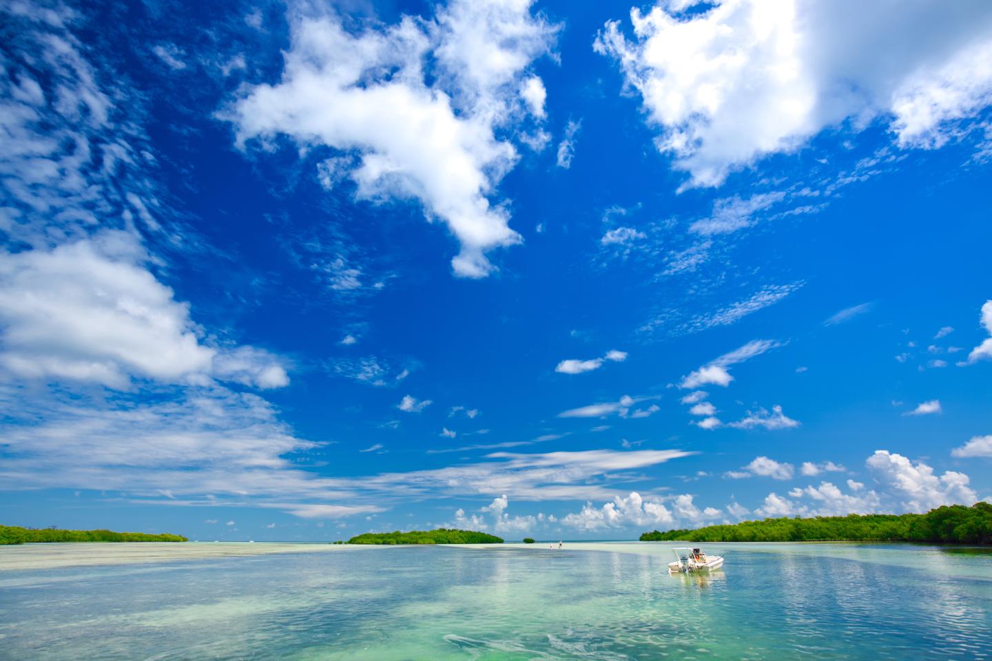 Vast blue sky over a calm, clear shallow ocean with distant green trees.