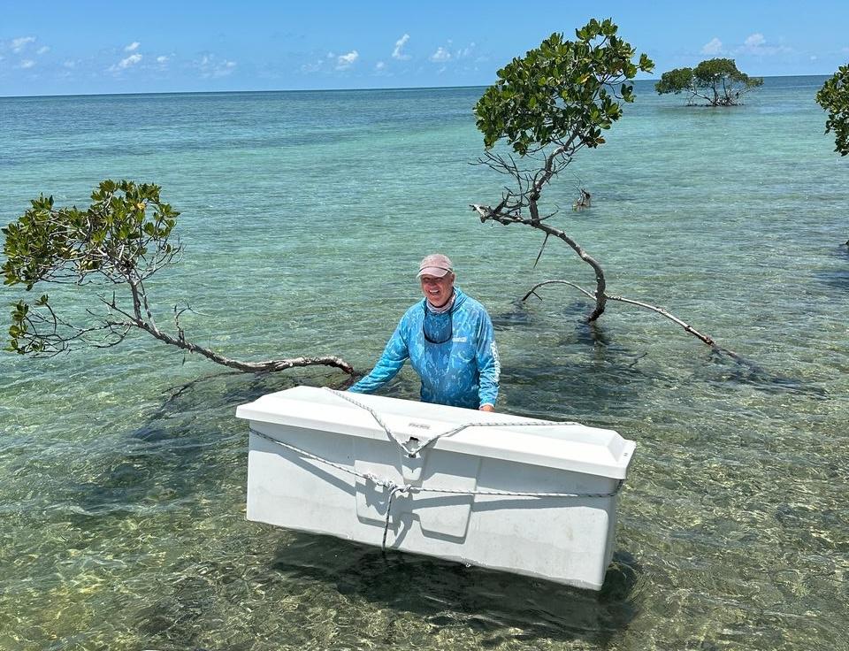 A person in water with a large box near mangroves and clear sky.