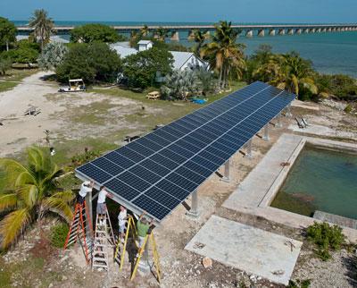 Solar panels on a metal structure near water and palm trees, sunny day.