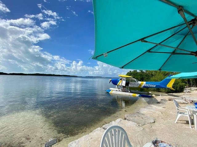 Seaplane by a tropical shoreline under a blue sky and umbrella.