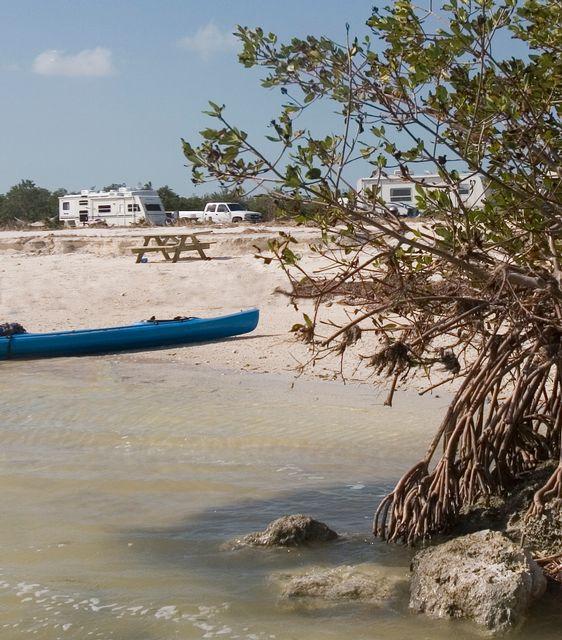 Beach scene with a blue kayak, tree, and RVs in the background.