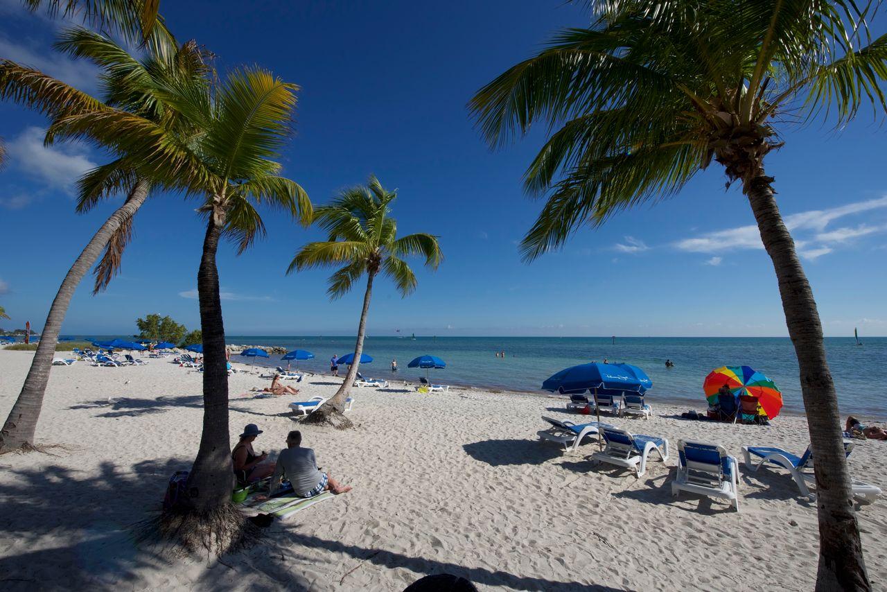 Tropical beach with palm trees, blue umbrellas, and clear sky.