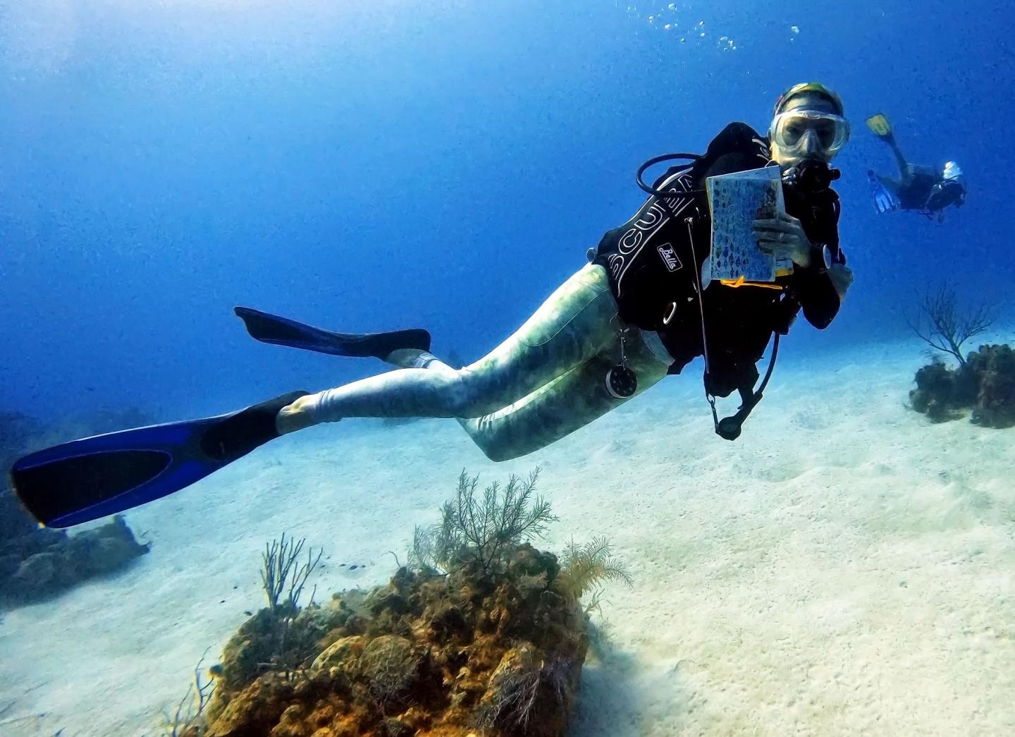 Scuba diver reading underwater near a coral reef.