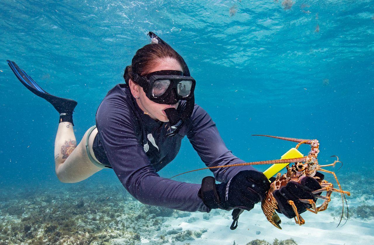 Diver holding a lobster underwater, wearing snorkel and flippers.