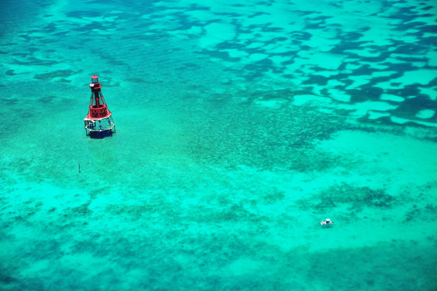 Turquoise sea with red lighthouse and underwater coral patterns.