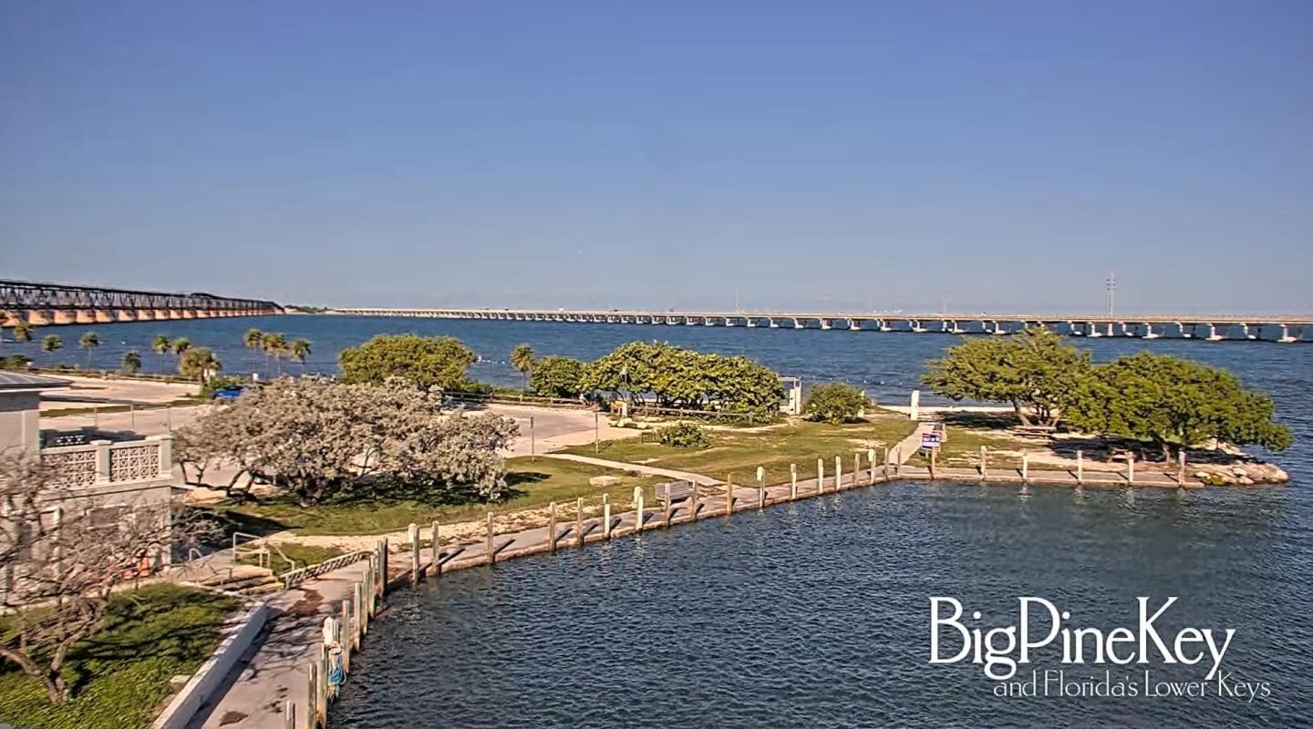 Coastal park with trees, lawn, and distant bridge under clear blue sky.