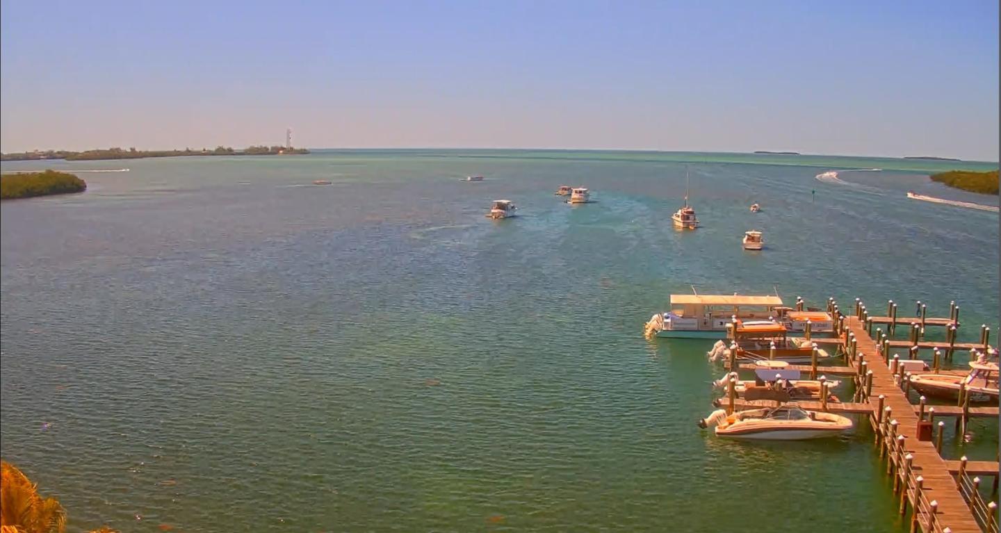 Boats sailing on a sunny blue sea near a dock.