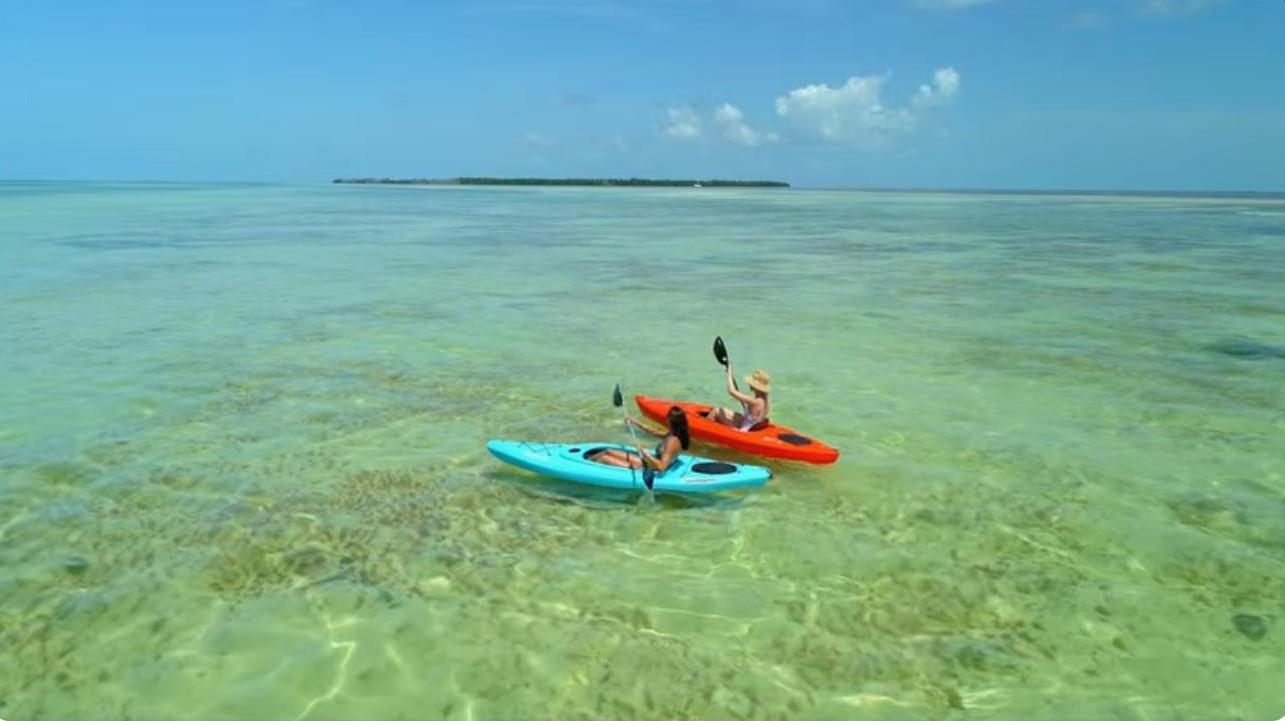 Two kayakers paddle on clear turquoise water under a blue sky.