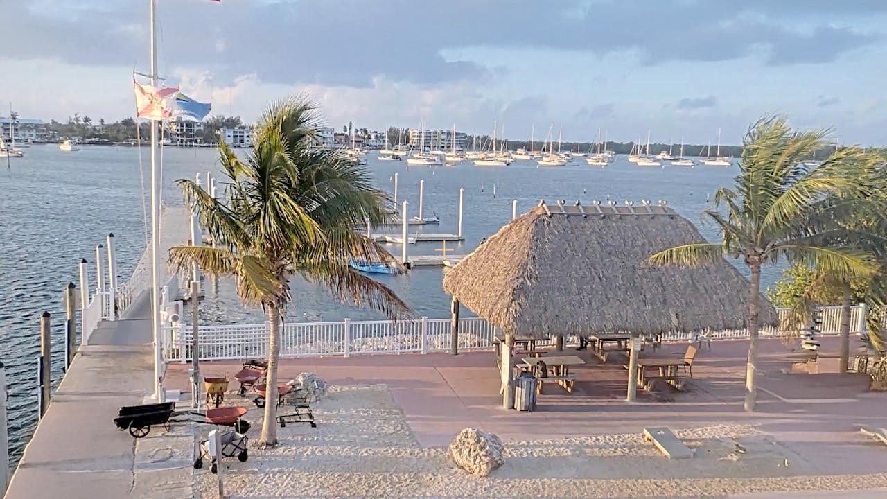 Tropical waterfront with palm trees, huts, and boats on calm water.