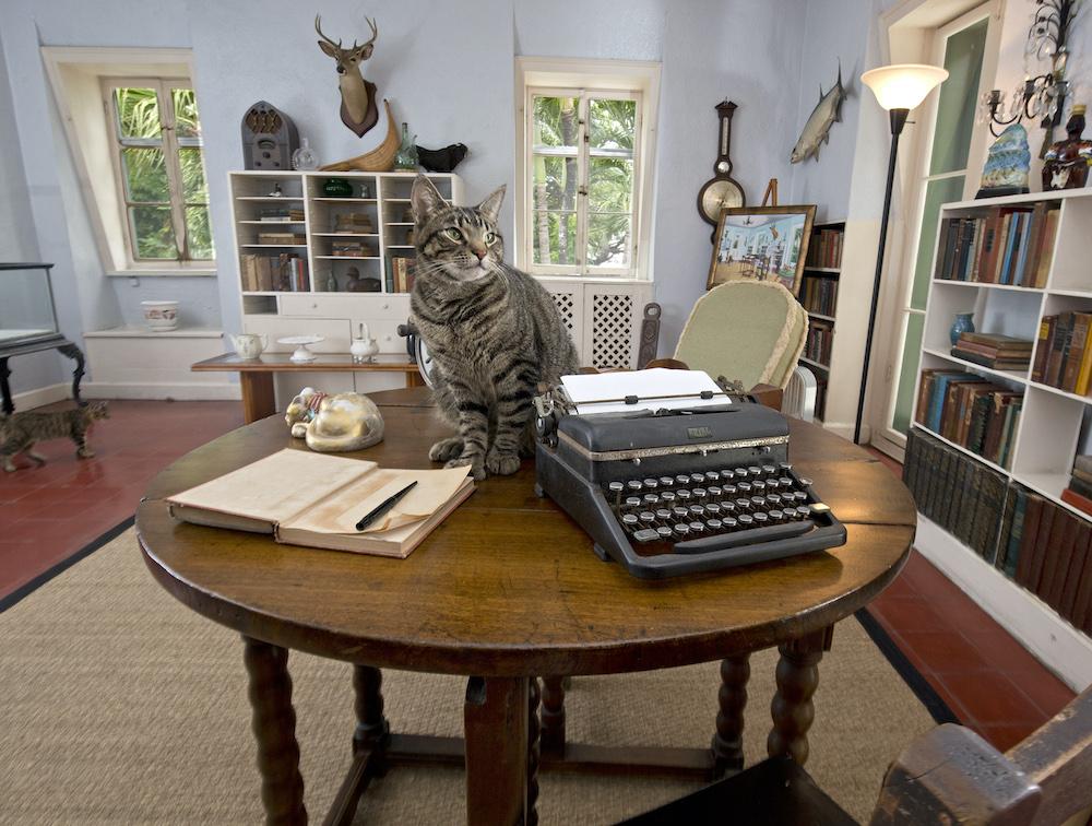 Cat on a desk in the Hemingway House with a typewriter in a cozy, book-filled study.
