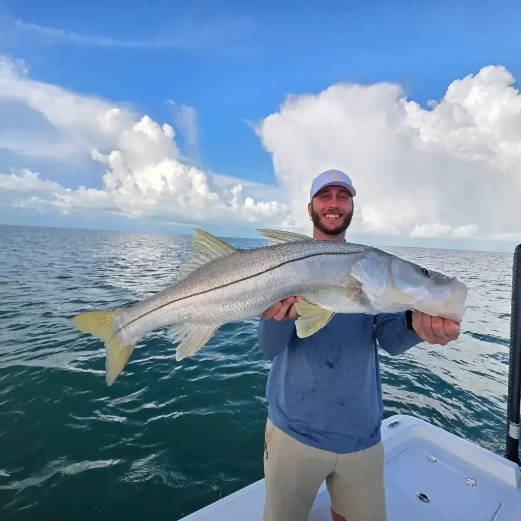 Man on boat holding a large fish under a bright blue sky with clouds.