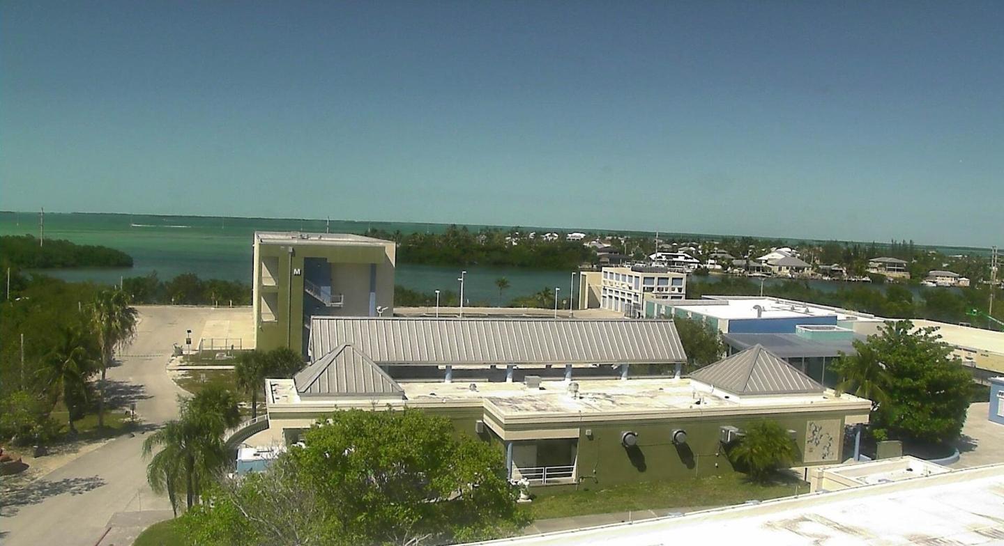 Coastal town with tan building, surrounded by greenery, and ocean in the background.