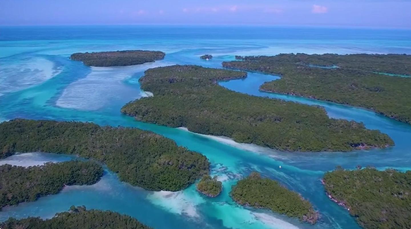 Turquoise sea with lush green mangrove islands and blue sky.