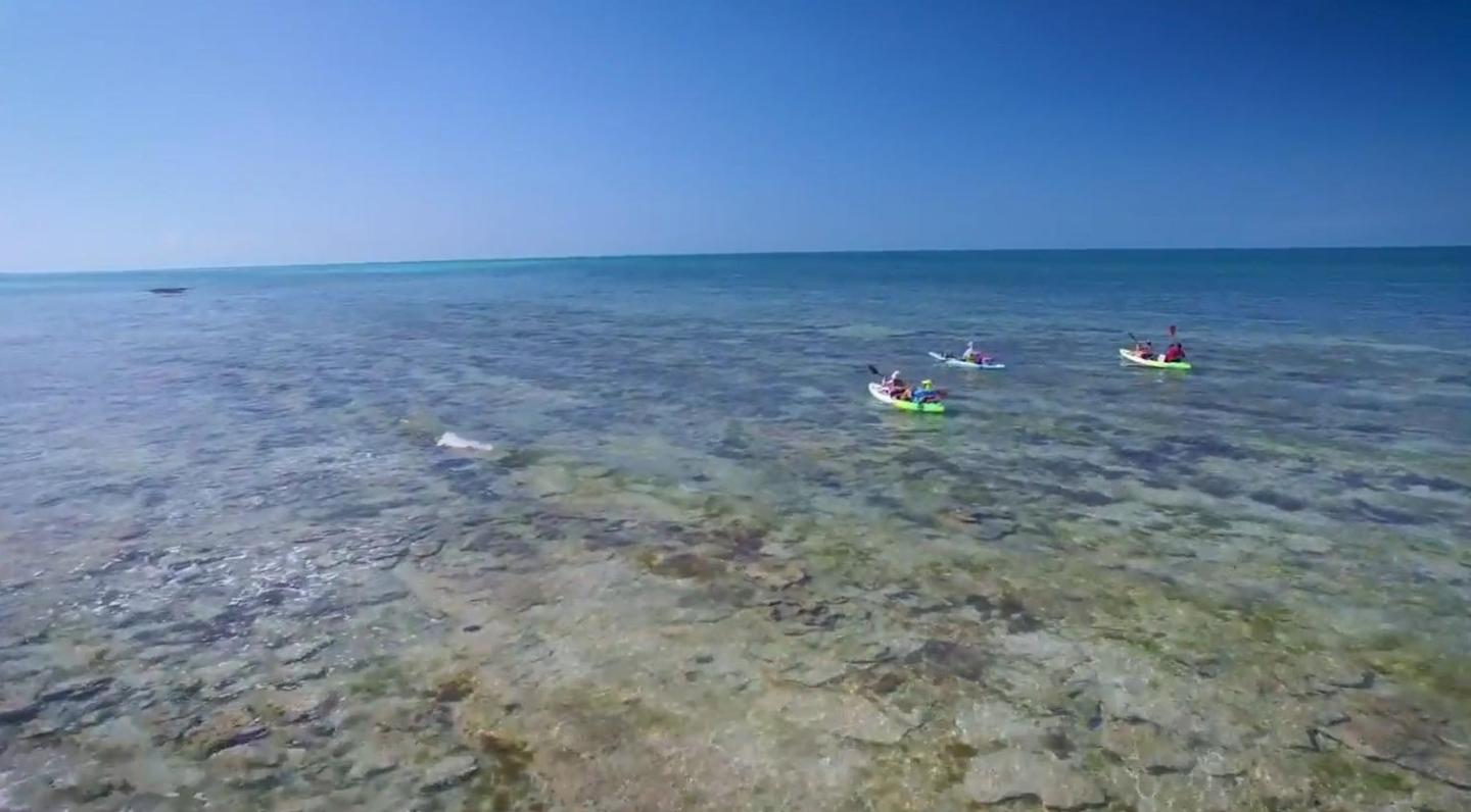 Clear ocean with kayakers under a bright blue sky.