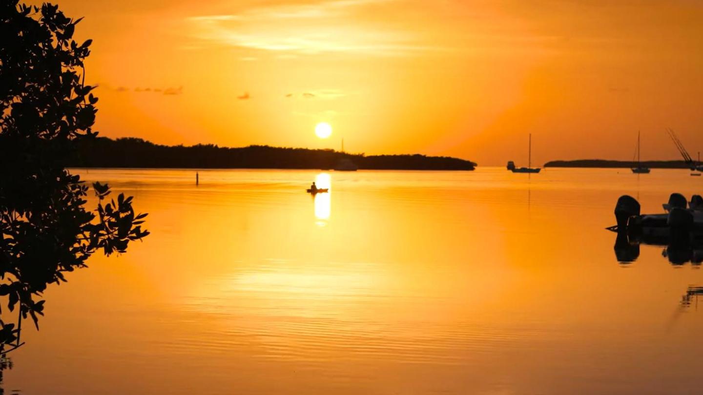 Golden sunset over calm water with silhouetted trees and boats.