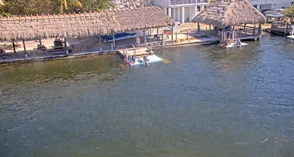 Thatched roof huts by a riverside with a small dock.