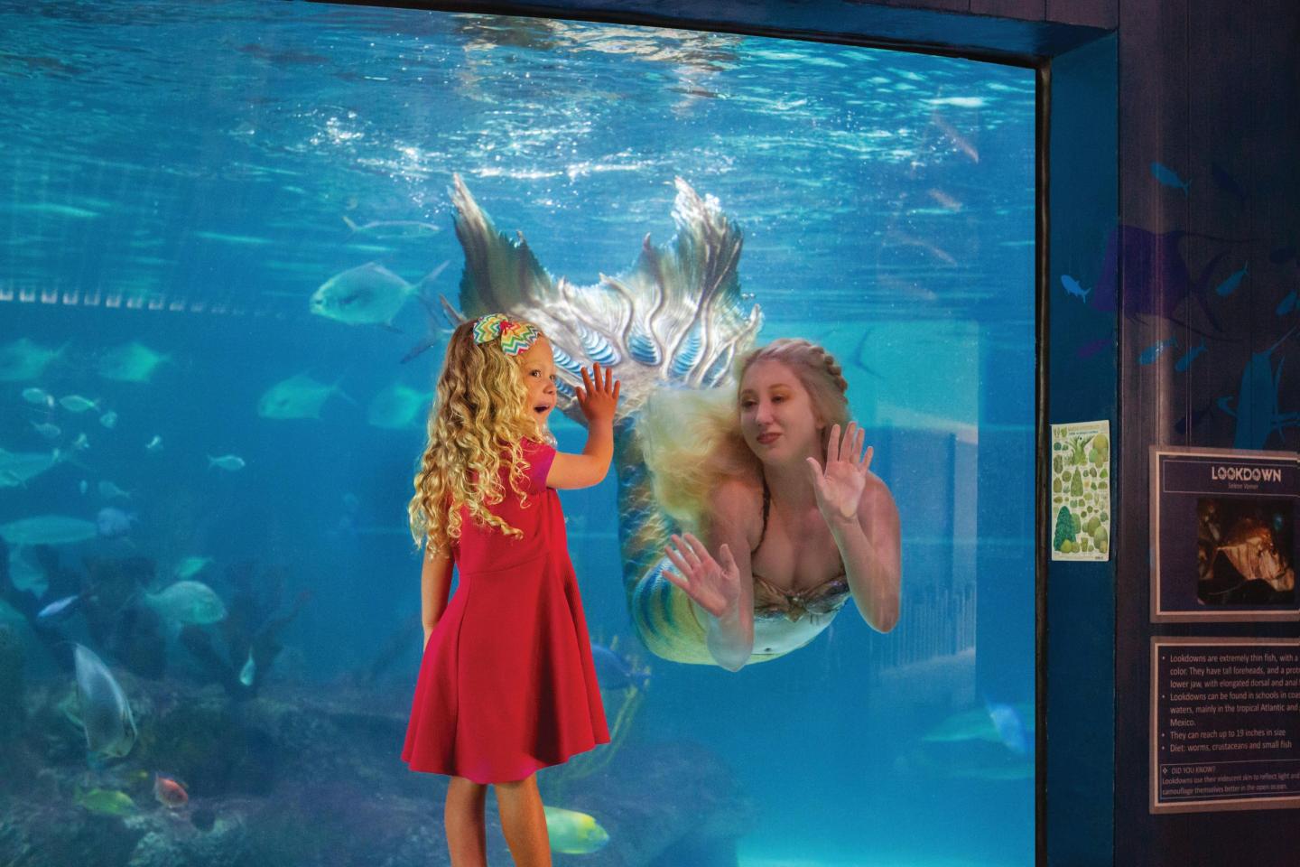 Girl in red dress greets aquarium mermaid through glass.